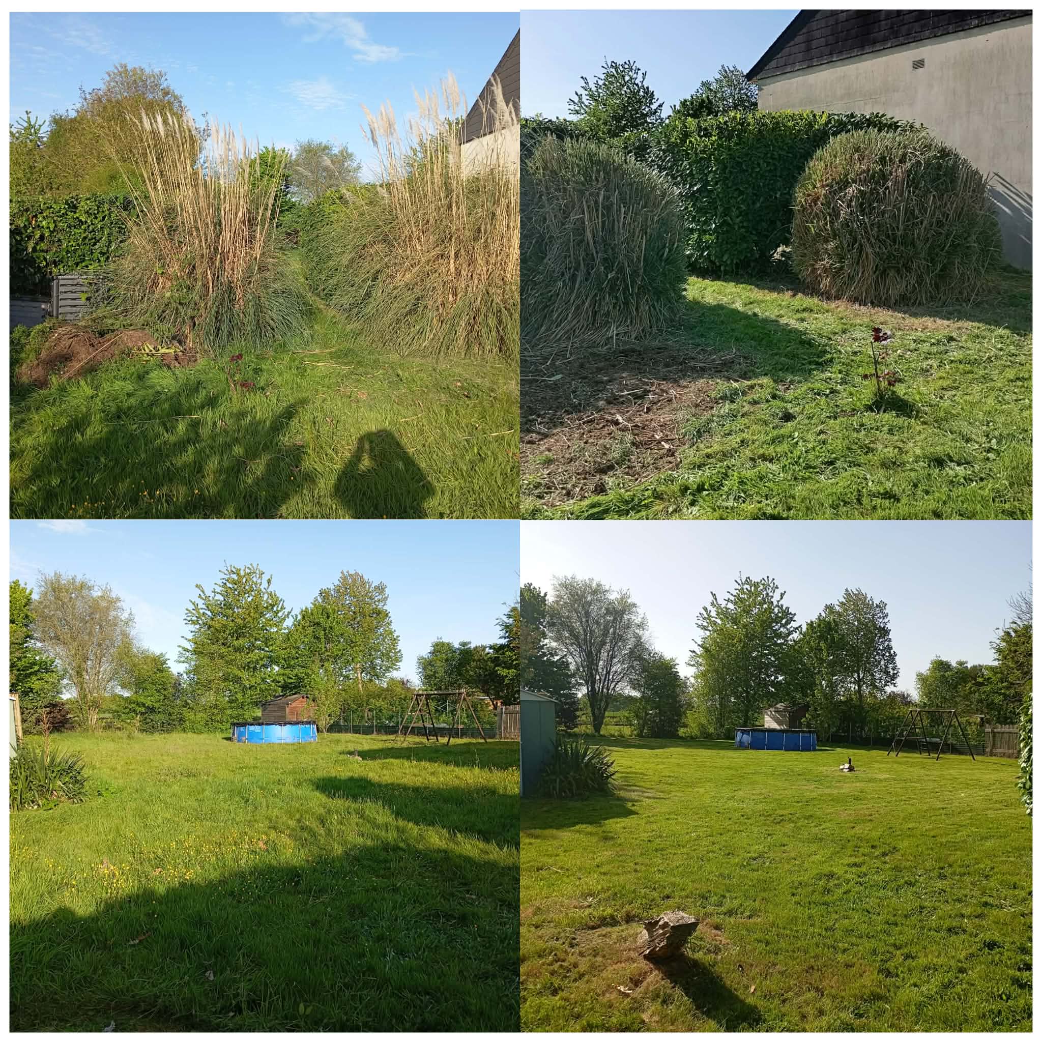 Avant/après débroussaillage d'un fond de jardin envahi par les herbes hautes
